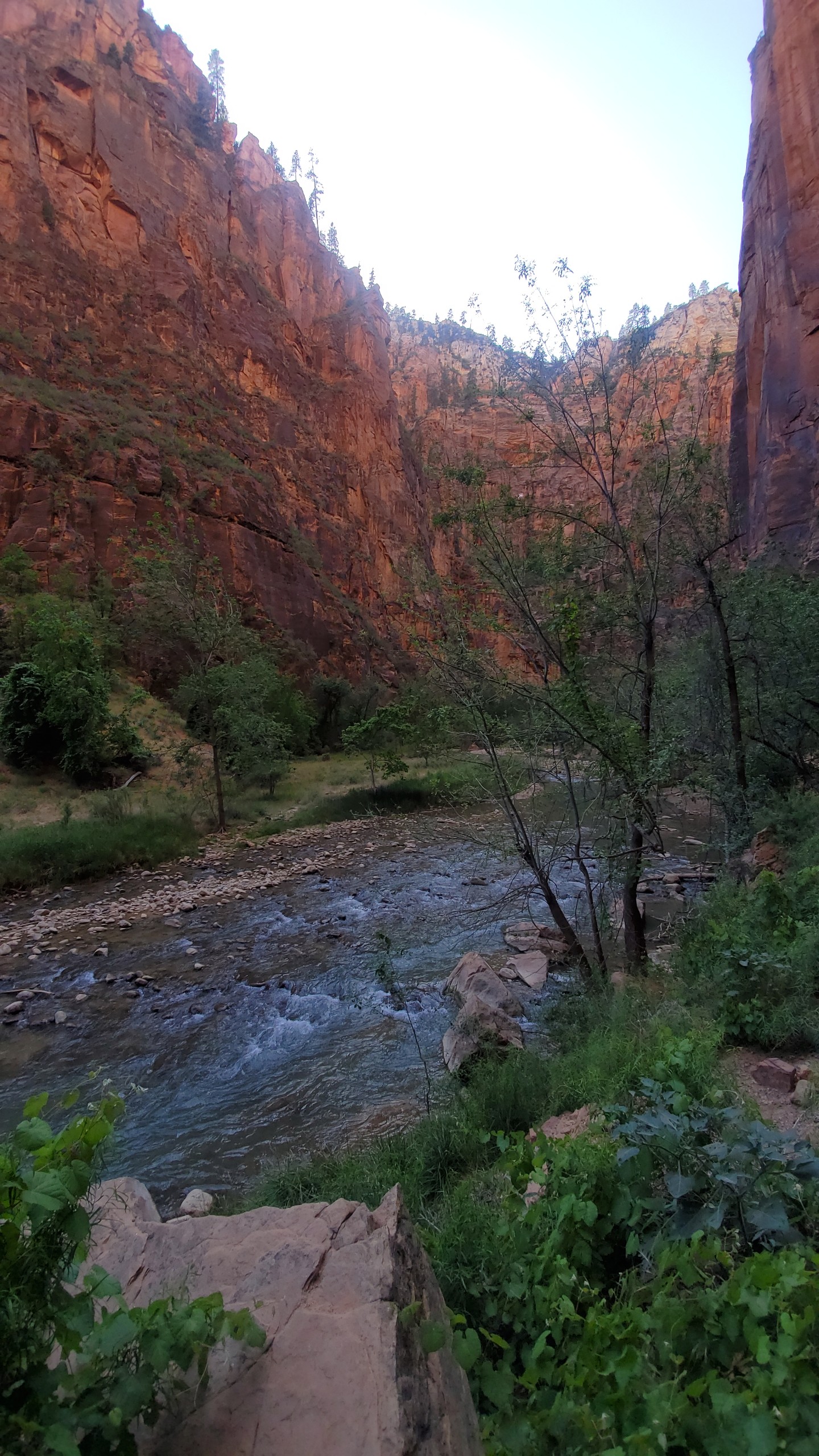 Zion National Park: My First Taste of the West